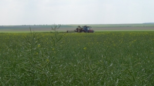 i-4149
