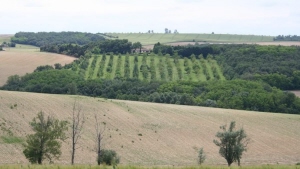 i-6329