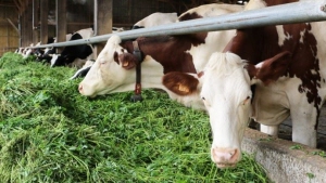 i-7425