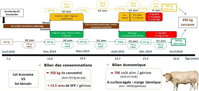 fiches_Engraissement