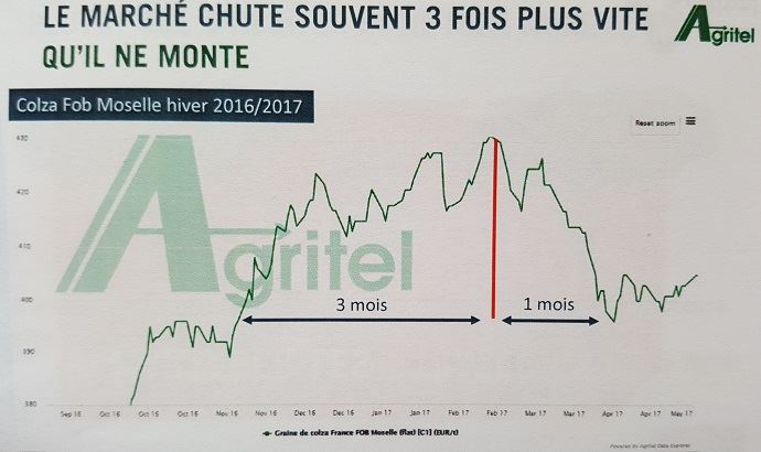 fiches_chute_des_prix_du_colza_2016-2017