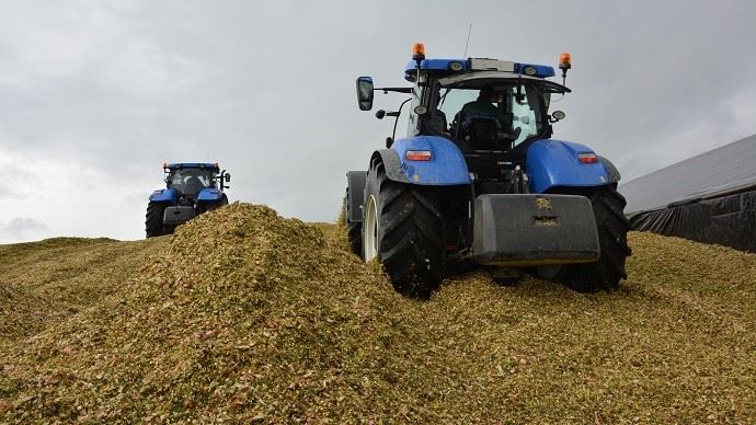 fiches_ensilage_de_mais