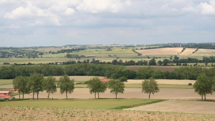 fiches_Parcelles_agricoles