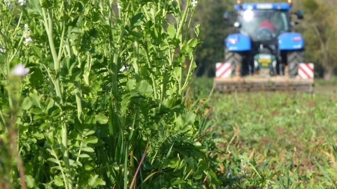 fiches_tag-Couverts_vegetaux