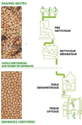 fiches_Parcours_des_graines_brutes_aux_semences_certifiees