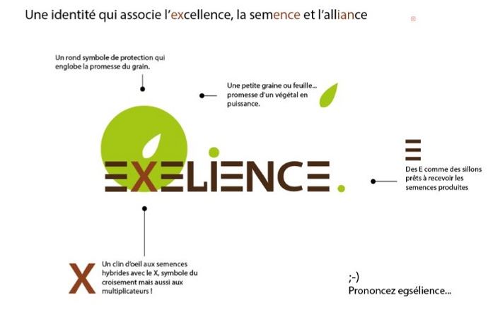 fiches_Explications_sur_le_nom_Exelience