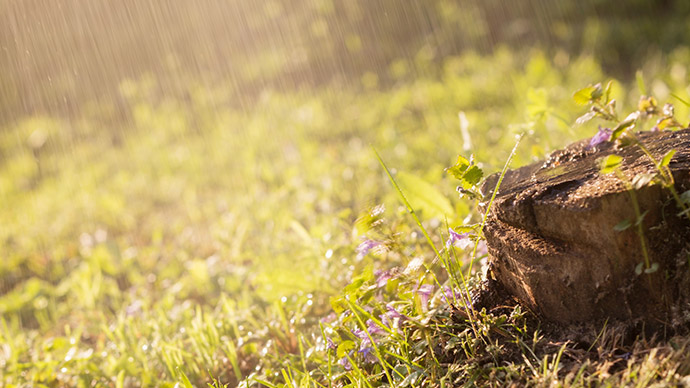 20190503-AGRI-MUTUEL-PLUIE-CHAMPS