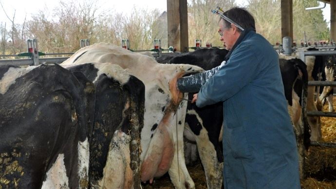 fiches_Genetique_insemination