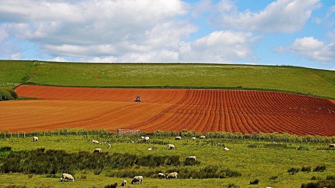 fiches_foncier_agricole_2018