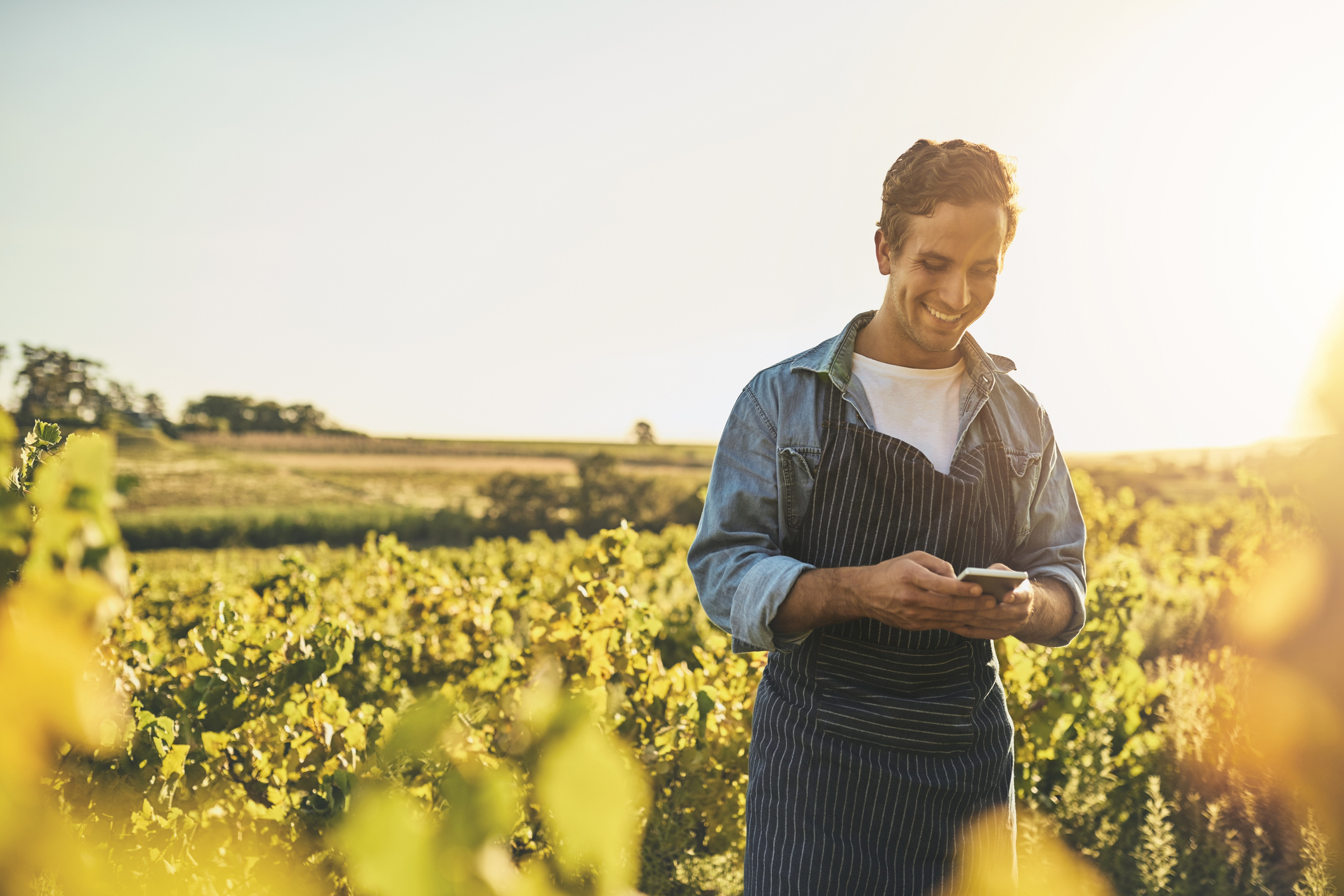 Modern tools for a modern farmer