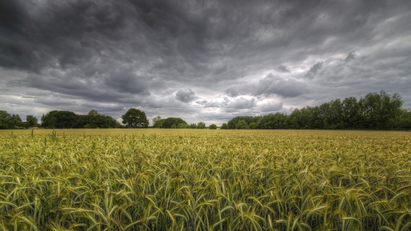 Feld und Unwetter