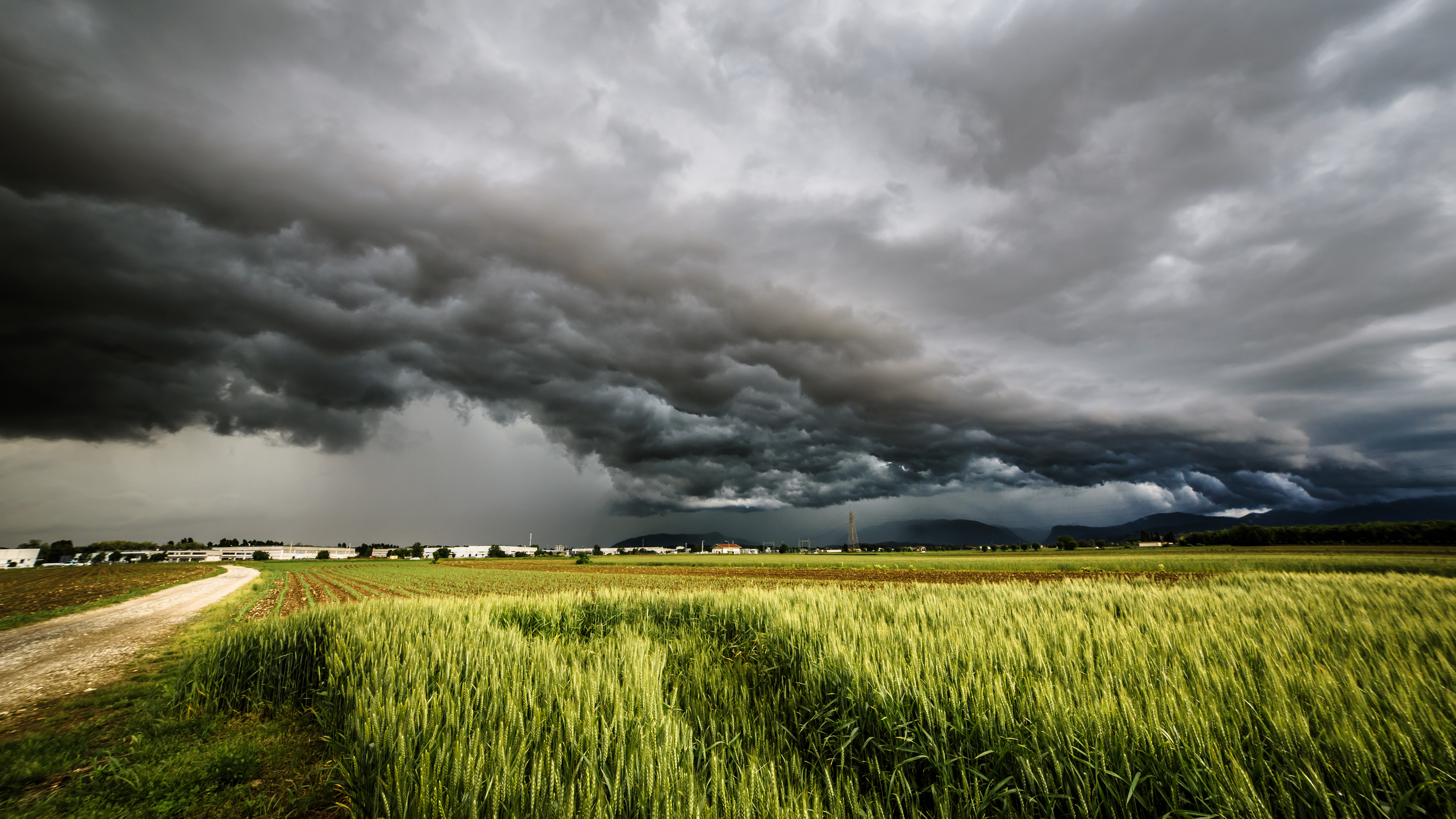 storm over the fields