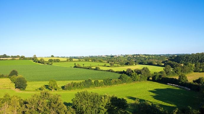 fiches_Ph_-_Paysage_avec_haie_-_Thierry_RYO_Fotolia