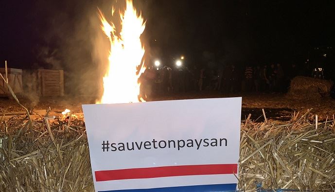 fiches_Sauve-ton-paysan