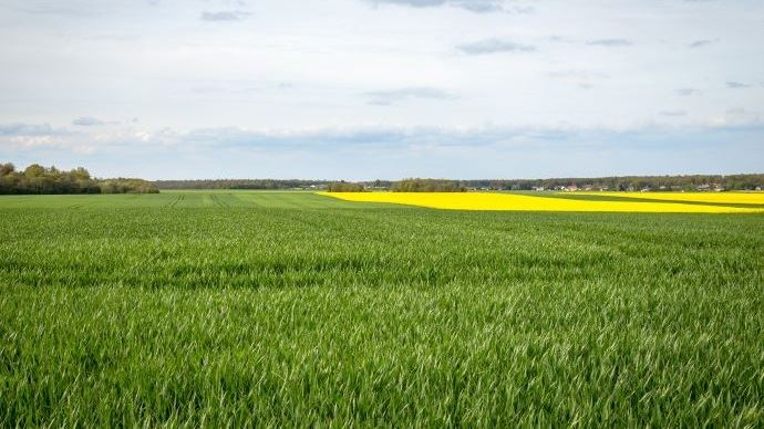 fiches_Paysage_Plaine_Printemps_-_Normandie_Eure_-_Credit_photo___Nadege_PETIT_agri_zoom_1