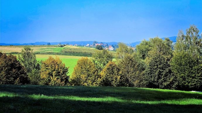 fiches_autumn-4479376_1920