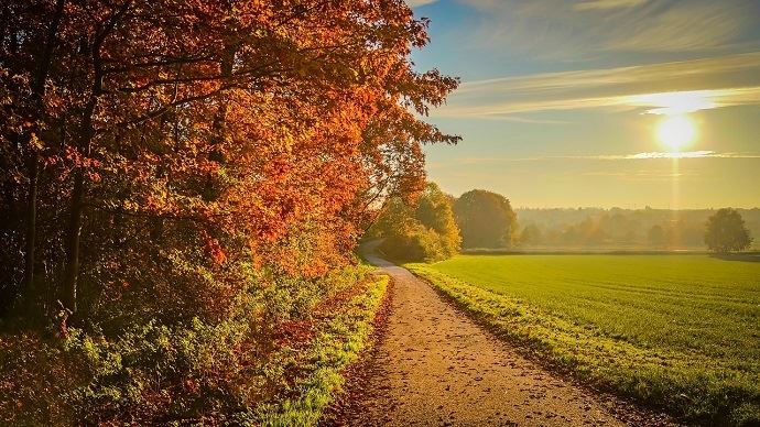 fiches_paysage_automne