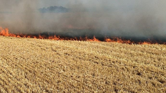 fiches_Feu_de_chaumes_incendie_recolte_-_Credit_photo___BruCardot