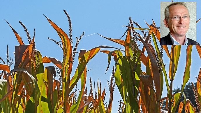 fiches_Mais_et_rechauffement_climatique