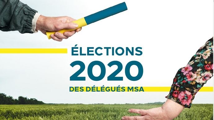 fiches_electionsMSA