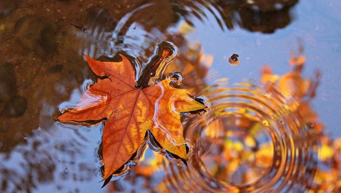 fiches_pluie_automne