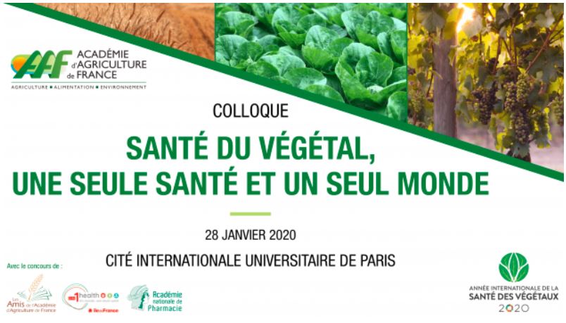 Colloque AAF