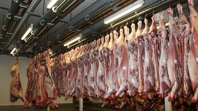 fiches_Abattoir