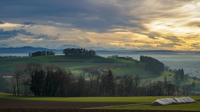 fiches_champs-agriculture