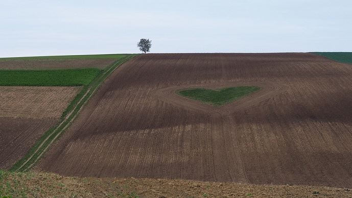 fiches_st-valentin-j-aime-mes-paysans-et-je-leur-dis