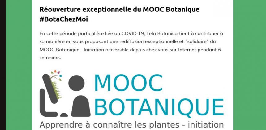 botachezmoi