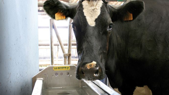 fiches_Abreuvoir-La_buvette