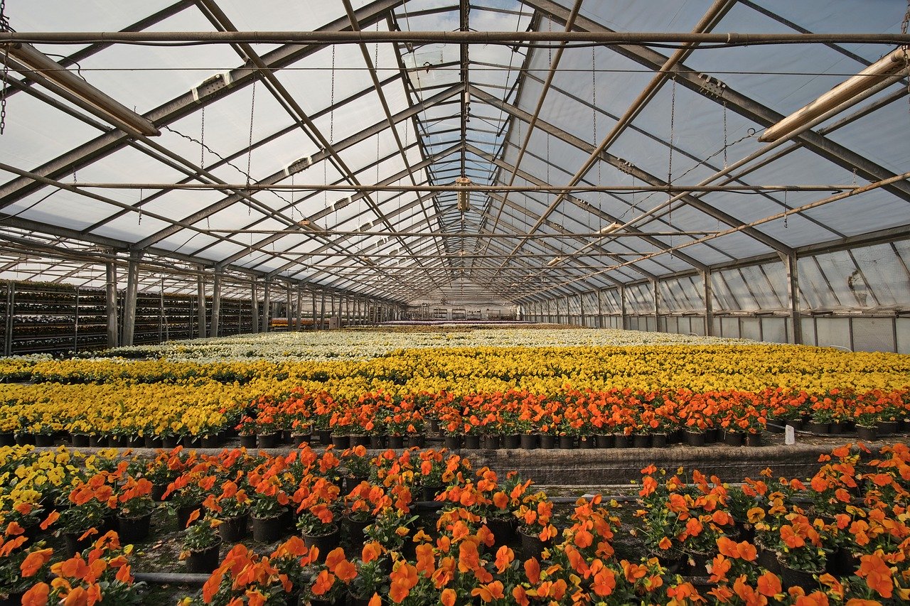 greenhouse-4948726_1280