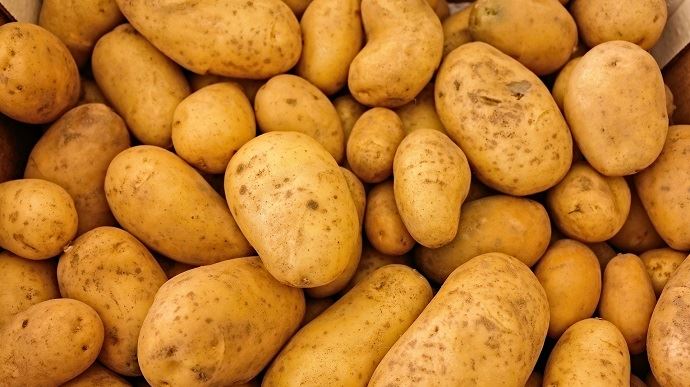 fiches_Pommes_de_terre