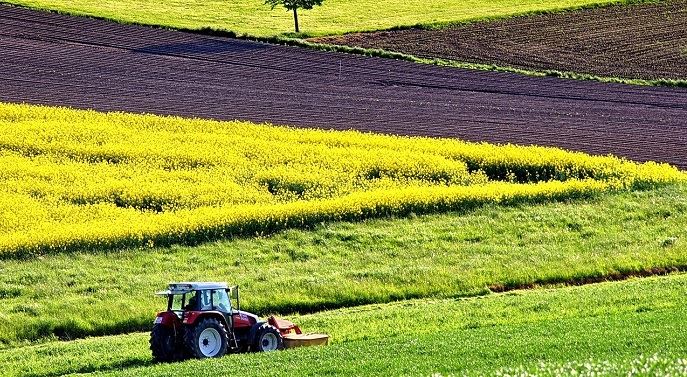fiches_agriculture-1619437_1280