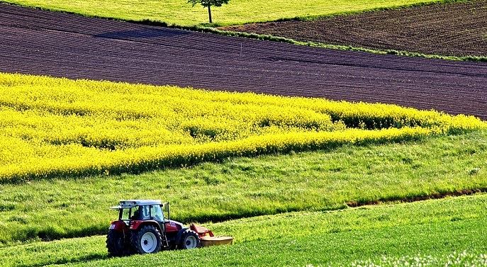 fiches_agriculture-1619437_1280