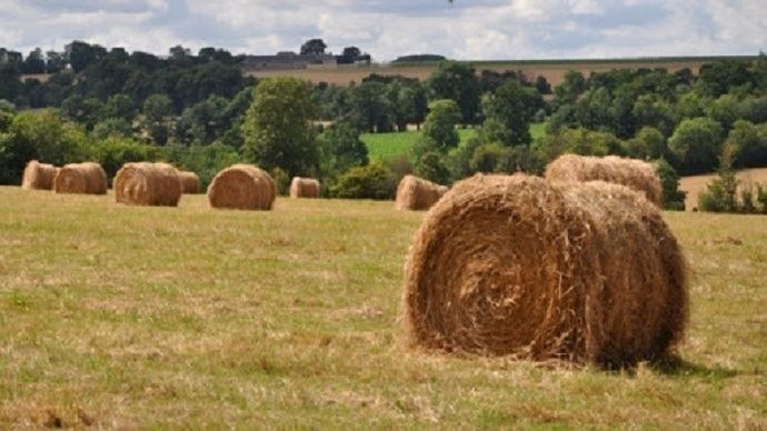 le foin de crau de