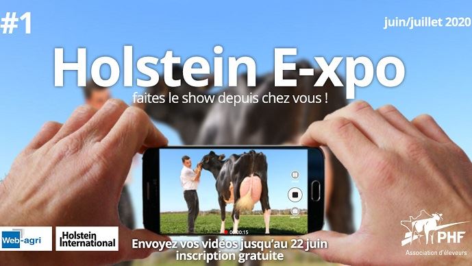 fiches_holstein-e-xpo