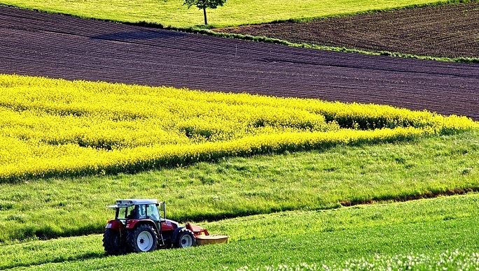 fiches_agriculture-1619437_1280