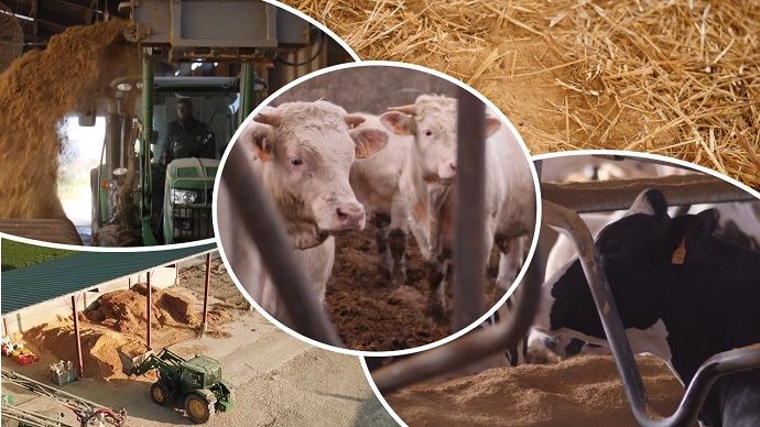 fiches_dollit-paillage-bovin-lait-viande