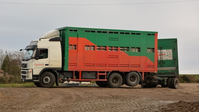 fiches_camion-transport-animaux