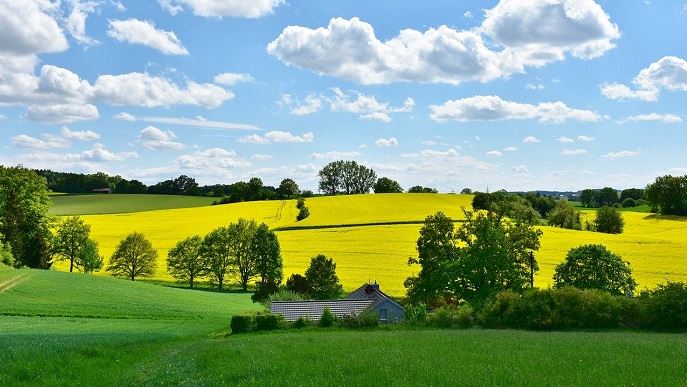 fiches_paysage-agricole