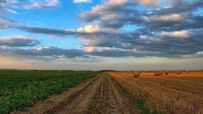 fiches_paysage_fin_de_moisson