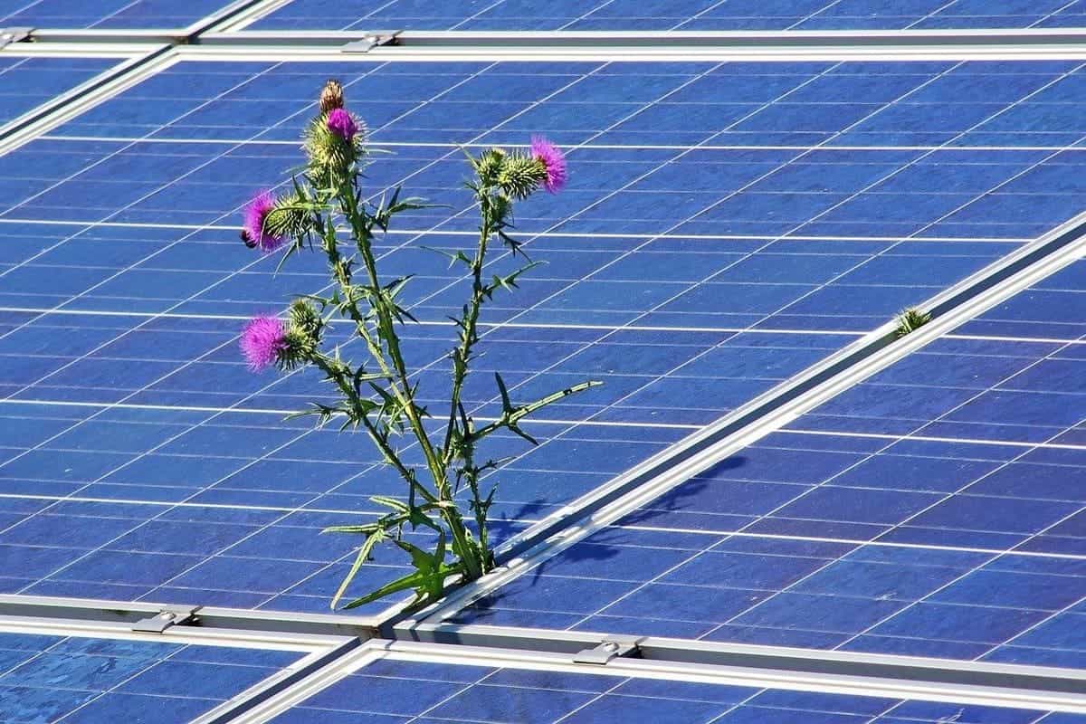 agriculture-transition-energetique-panneaux-solaires