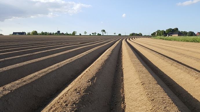 fiches_Pommes_de_terre-2
