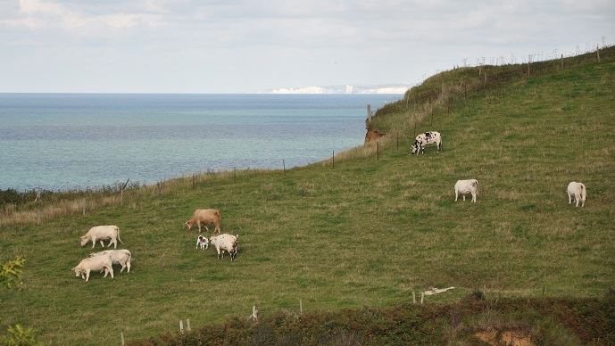 fiches_Paturage_29087
