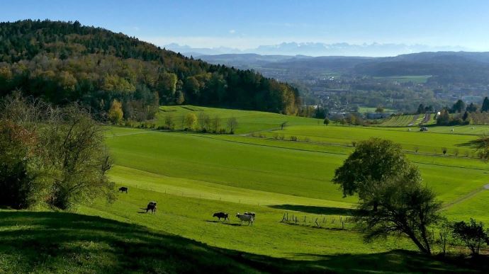 fiches_biodiv