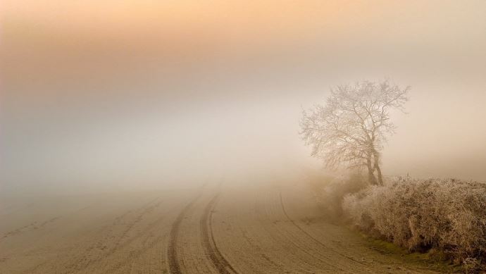 Comprendre les phénomènes météo - Brouillard ou brume : quelles différences  ? et comment se forment-ils ? - Changement climatique et biodiversité -  Agri Mutuel