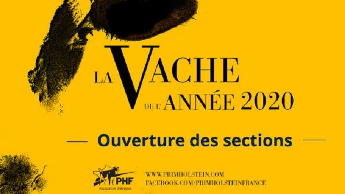 fiches_vache-de-l-annee-2020