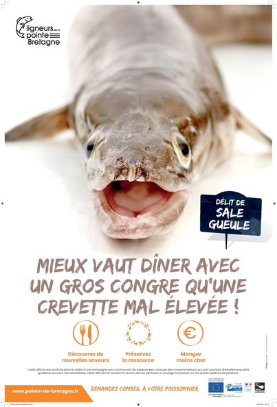 sale gueule poisson