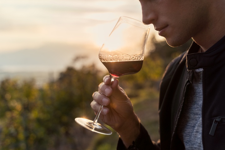 close up of a young man tasting red wine in a vineyard during sunset